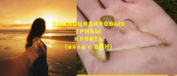 ПСИЛОЦИБИНОВЫЕ ГРИБЫ Белокуриха